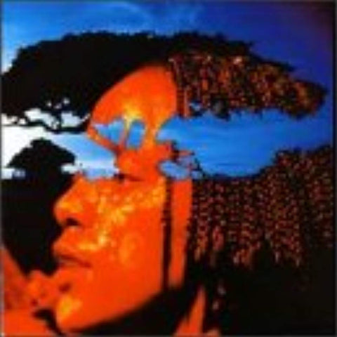 Drums For Tomorrow [Audio CD] AMAMPONDO