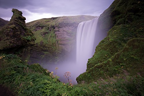 Cryptogramophone Assemblage 1998-2008: A Ten-Year Retrospective [Audio CD][DVD] Various