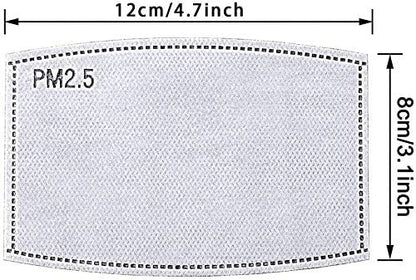 MASK REPLACEMENT PM2.5 FILTER (2 PACK) DOES NOT INCLUDE THE MASK