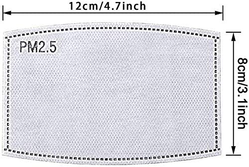 MASK REPLACEMENT PM2.5 FILTER (2 PACK) DOES NOT INCLUDE THE MASK