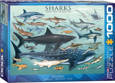 EuroGraphics Sharks 1000 pcs Puzzle