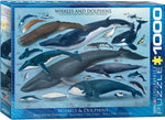 EuroGraphics Whales & Dolphins 1000 pcs Puzzle