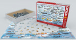 EuroGraphics History of Canadian Aviation 1000 pcs Puzzle