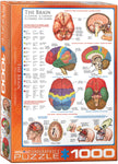 EuroGraphics The Brain 1000 pcs Puzzle