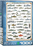 EuroGraphics Freshwater Fish 1000 pcs Puzzle