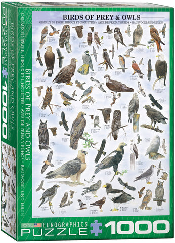 EuroGraphics Birds of Prey and Owls 1000 pcs Puzzle