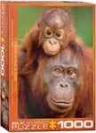 EuroGraphics Orangutan & Baby 1000 pcs Puzzle