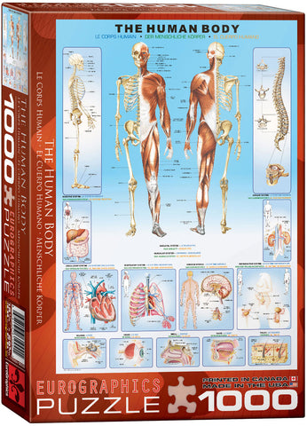 EuroGraphics The Human Body 1000 pcs Puzzle
