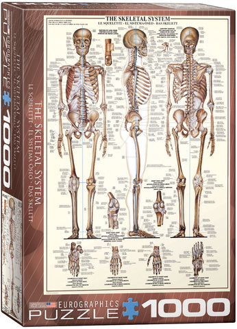 EuroGraphics The Skeletal System 1000 pcs Puzzle