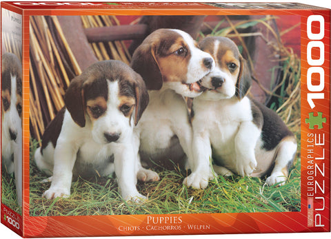 Puppies - 1000 pcs Puzzle