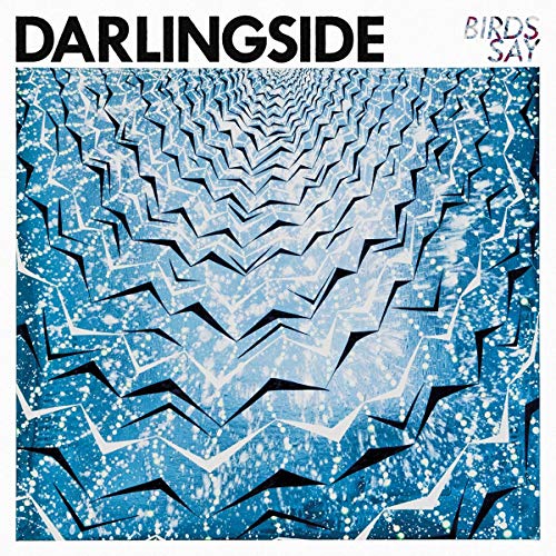 Birds Say [Audio CD] Darlingside