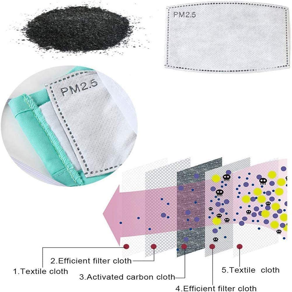 MASK REPLACEMENT PM2.5 FILTER (2 PACK) DOES NOT INCLUDE THE MASK