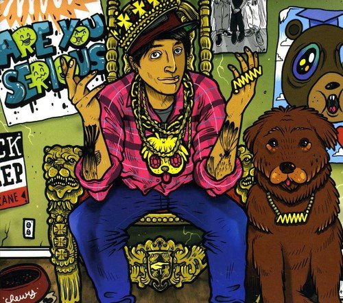 Are You Serious [Audio CD] Anami Vice