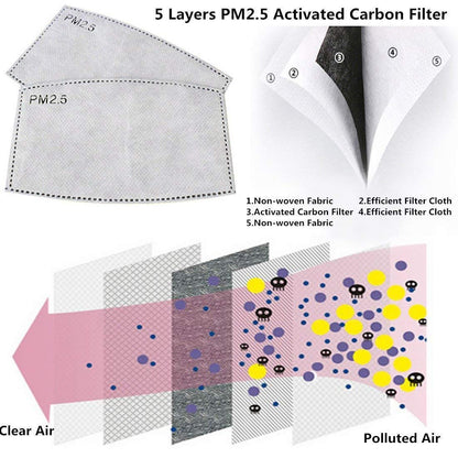 MASK REPLACEMENT PM2.5 FILTER (2 PACK) DOES NOT INCLUDE THE MASK