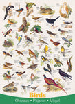 PUZZLE BIRDS FIELDS & GARDENS (1000 PCS)