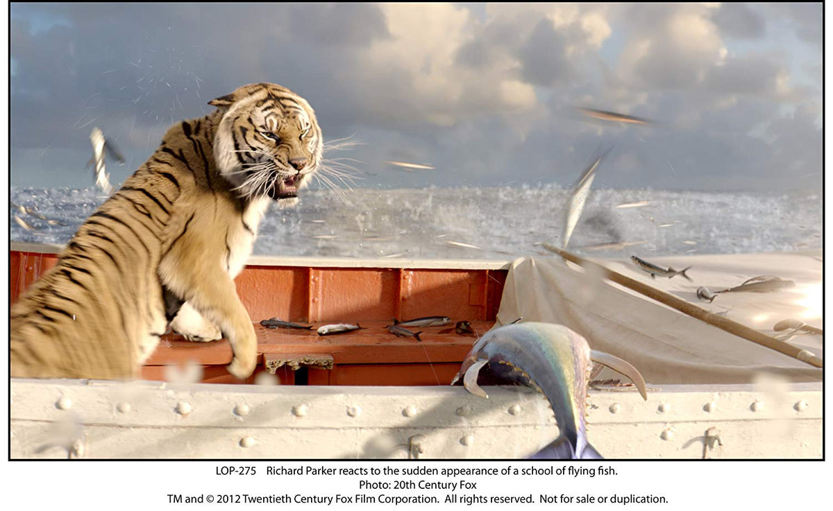 Life of Pi - L'histoire de Pi [Blu-ray + DVD + Digital Copy] (Bilingual) [Blu-ray]