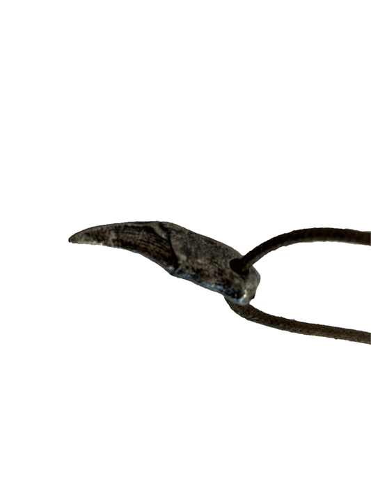 FAR CRY PRIMAL SABERTOOH NECKLACE