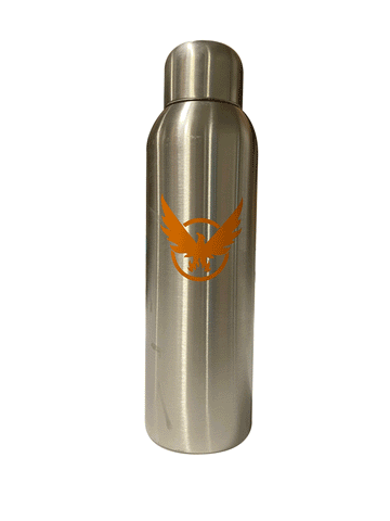 WATER BOTTLE THE DIVISION SILVER