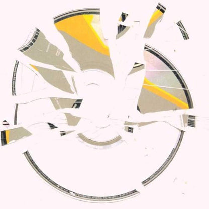 Appetite For Disctruction [Audio CD] Funkstorung
