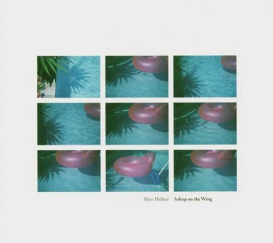 Asleep on the Wing [Audio CD] Mark Hellner