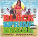 Black Spring Break [Audio CD] Various Artists