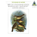 Blaukehlchen [Audio CD] TILGNER,WALTER