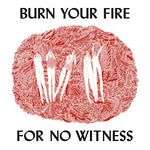 Burn Your Fire For No Witness [Audio CD] OLSEN,ANGEL