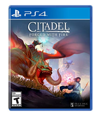 CITADEL: FORGED WITH FIRE PS4