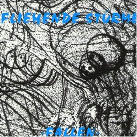 Fallen [Audio CD] Fliehende Stuerme