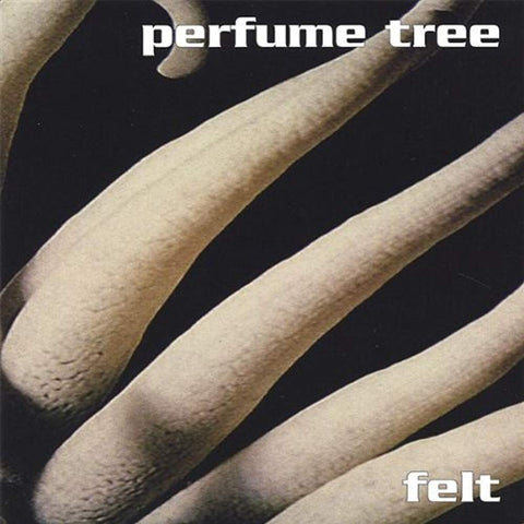 Felt [Audio CD] Perfume Tree