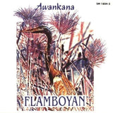 Flamboyan-River of the Stars [Audio CD] AWANKANA / SMITH