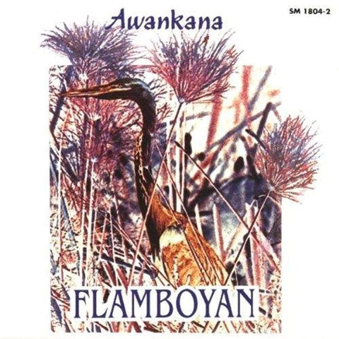 Flamboyan-River of the Stars [Audio CD] AWANKANA / SMITH