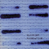 Foundation [Audio CD] Blueprint