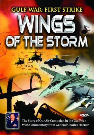 Gulf War: First Strike - Wings of the Storm [DVD]