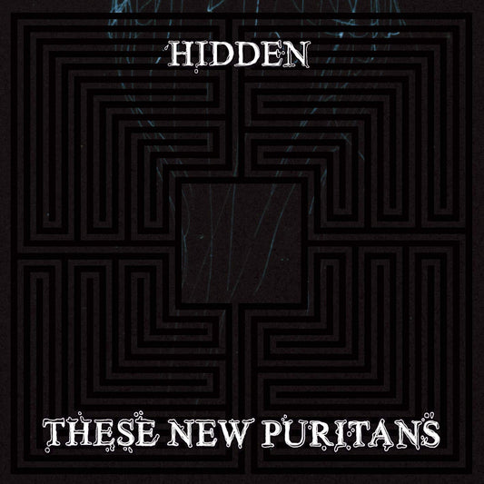 Hidden [Audio CD] THESE NEW PURITANS