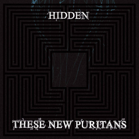 Hidden [Audio CD] THESE NEW PURITANS