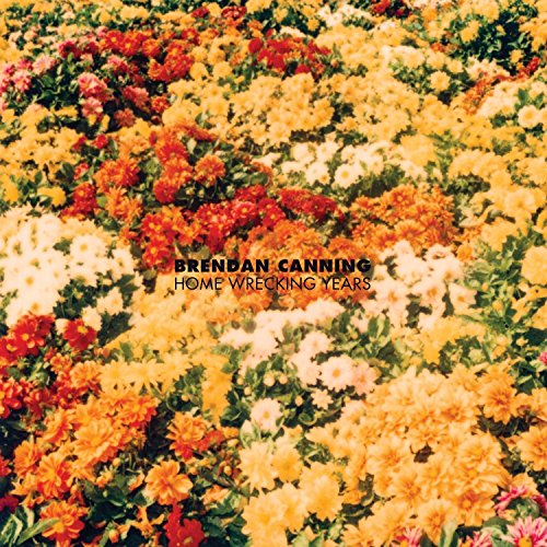Home Wrecking Years [Audio CD] Canning, Brendan
