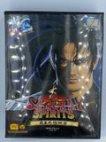 SAMURSI SPIRITS 2 - NEO-GEO - used games