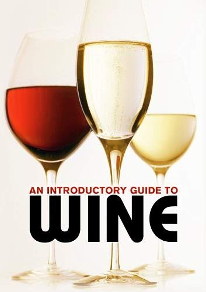 Introductory Guide to Win [DVD]