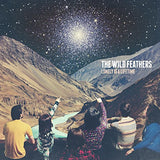 Lonely Is A Lifetime [Audio CD] The Wild Feathers