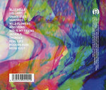 Modern Ruin [Audio CD] Frank Carter & The Rattlesnakes|Frank Carter & The Rattlesnakes