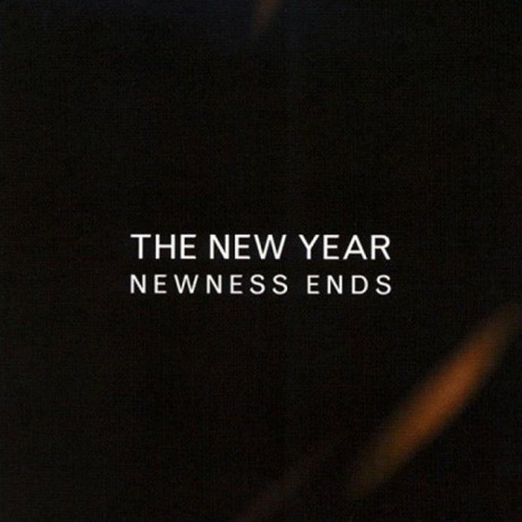 NEWNESS ENDS [Audio CD] The New Year
