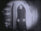 Nosferatu [DVD]