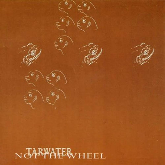 Not the Wheel [Audio CD]