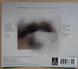 Nothing Down to Earth [Audio CD] Galerie Stratique