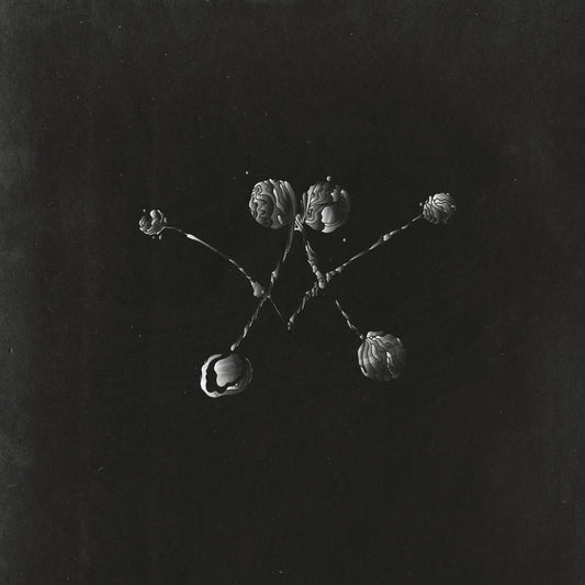 Nowhere Now [Audio CD] Waterstrider