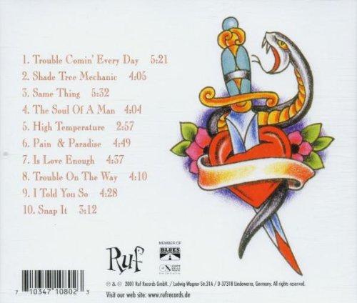 Pain & Paradise [Audio CD] Nighthawks