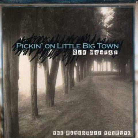 Pickin On Little Big Town: The Bluegrass Tribute [Audio CD] Various Artists