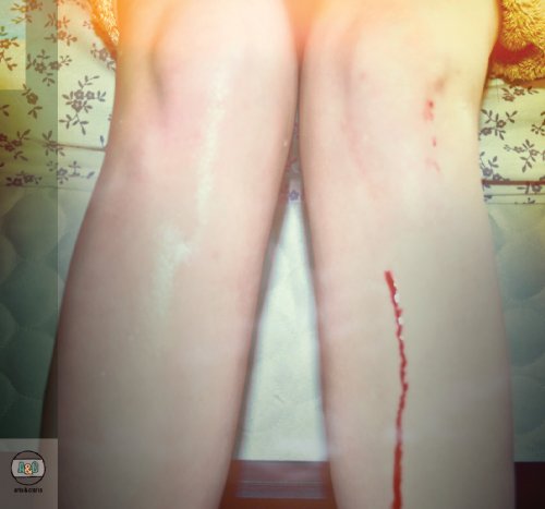 Romance Is Boring [Audio CD] Los Campesinos!