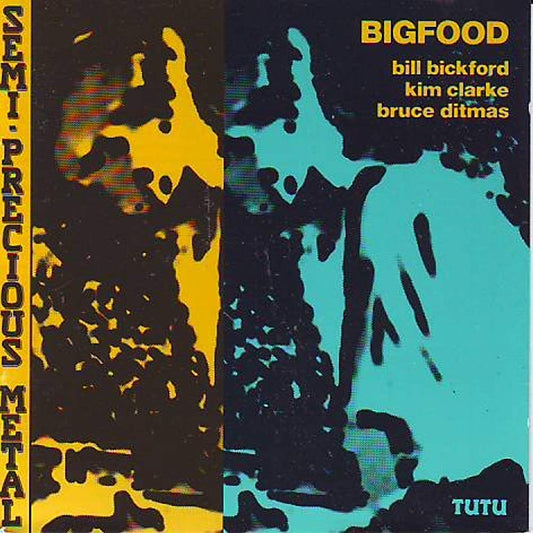Semi Precious [Audio CD] Bigfood